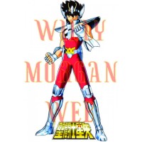 Saintseiya Pegaso 2